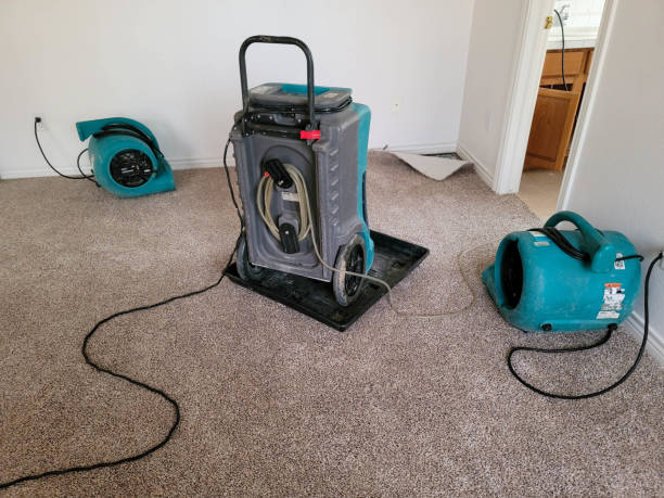 Best Water damage restoration process  in Johnston, SC