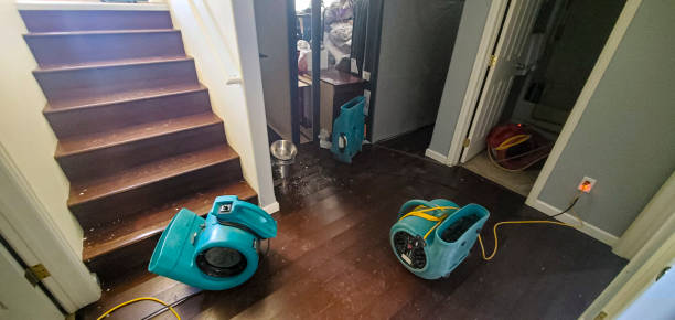 Best Local water damage restoration  in Johnston, SC