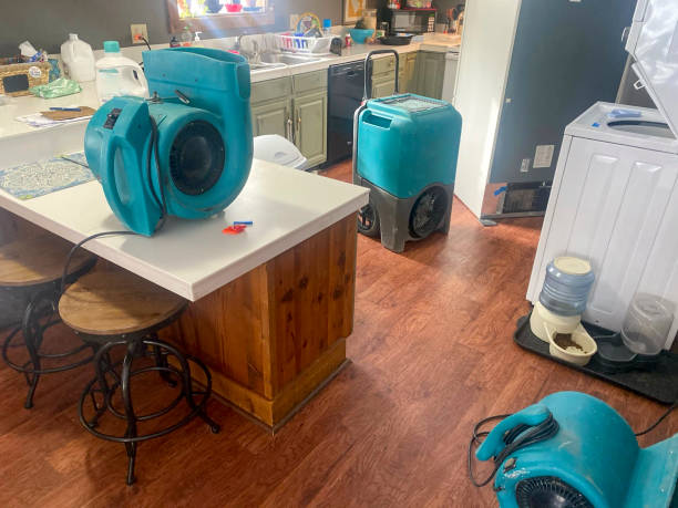 Best Carpet water damage restoration  in Johnston, SC