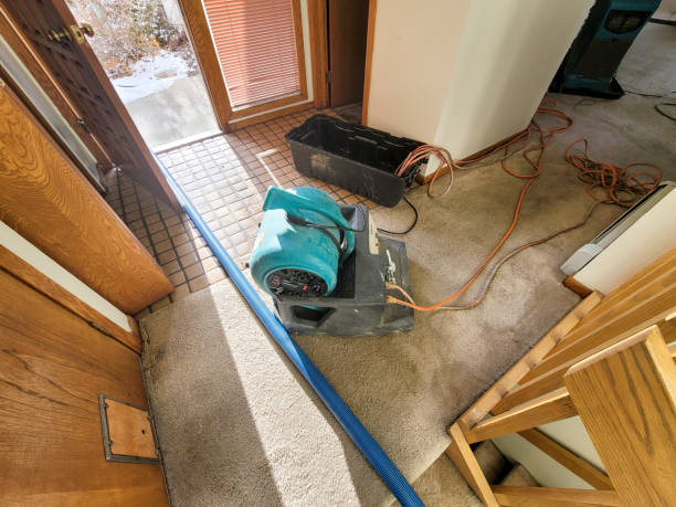Best Residential water damage restoration  in Johnston, SC