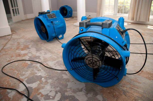 Best Flood damage cleanup  in Johnston, SC