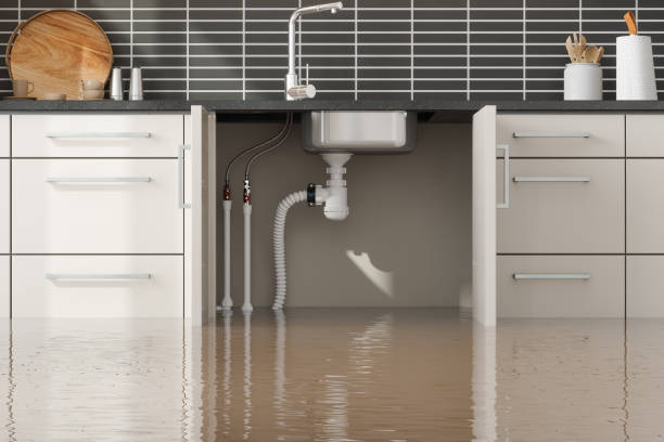 Best Emergency water damage restoration  in Johnston, SC