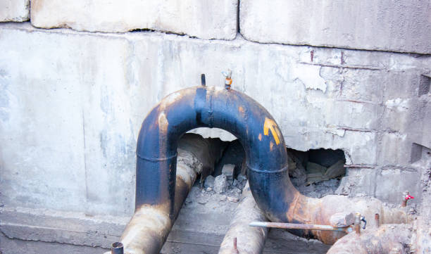 Best Flood restoration services  in Johnston, SC